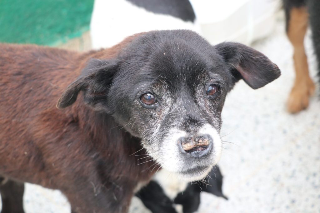 WhatsApp Image 2026 01 24 at 8.34.53 AM