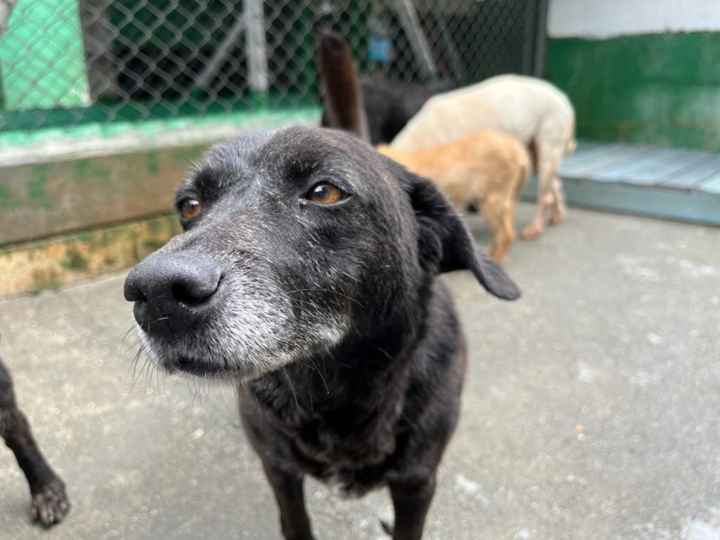 WhatsApp Image 2026 01 24 at 8.34.56 AM