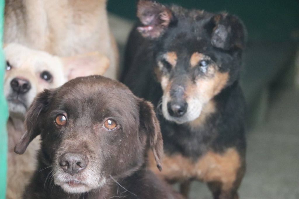 WhatsApp Image 2026 01 24 at 8.34.57 AM