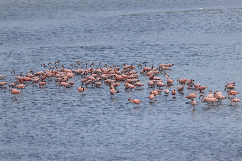 WhatsApp Image 2026 01 25 at 11.44.49 AM