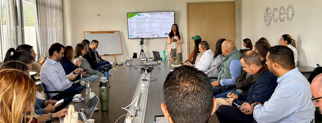 La CEO abrió dos licitaciones por $8.070 millones para dotación musical y formación docente en el Oriente y Segovia