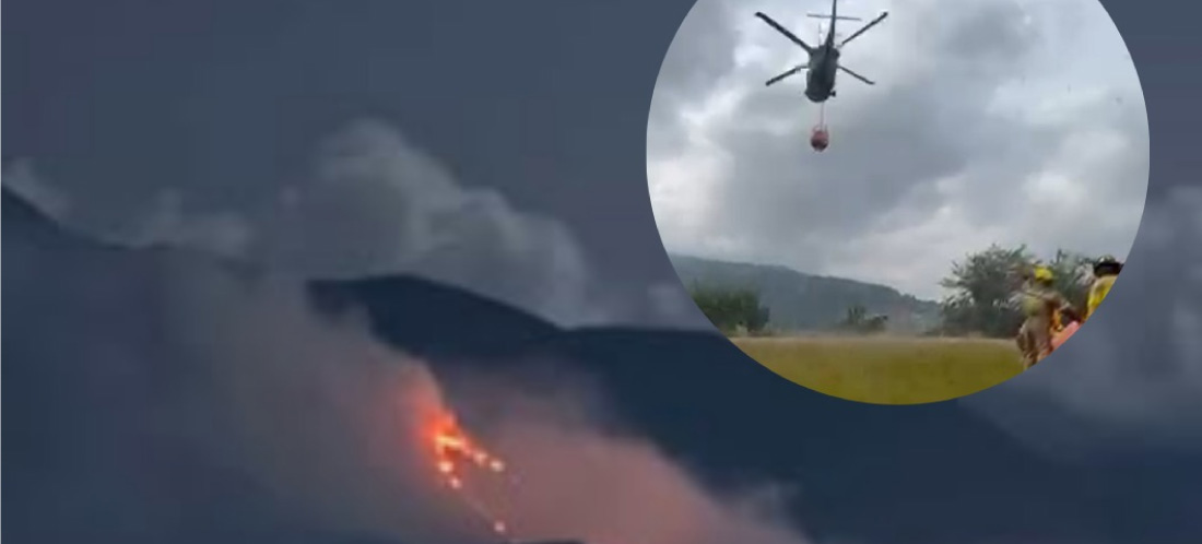 Tras más de 65 horas ardiendo, el incendio forestal en el Cerro Quitasol de Bello fue controlado. 84 hectáreas afectadas