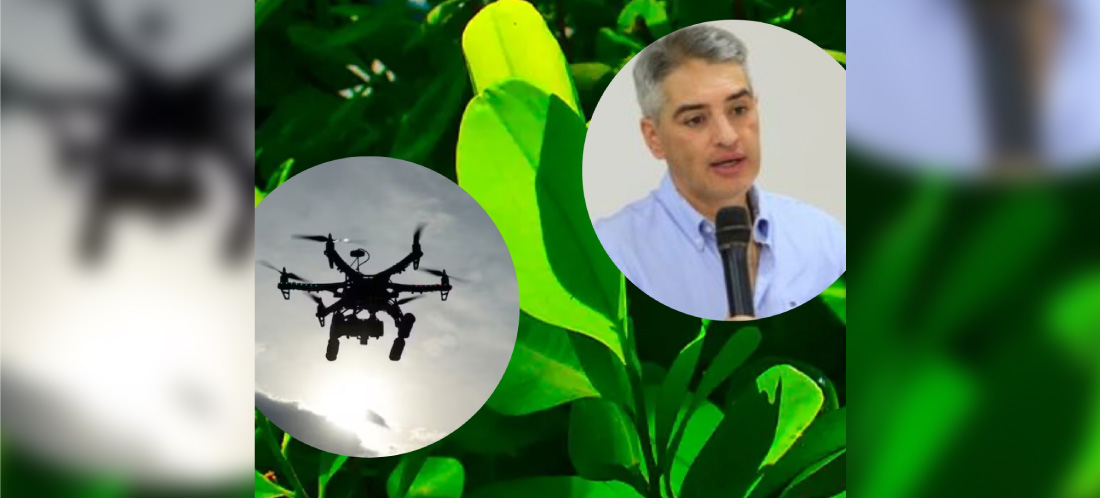 Gobernador de Antioquia pidió al Gobierno priorizar aspersión de cultivos ilícitos con drones en tres subregiones del departamento