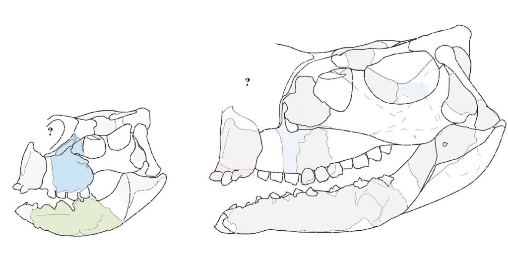 0391fd34c59b4dda2729539c9c6cbbd4970e4b8fw