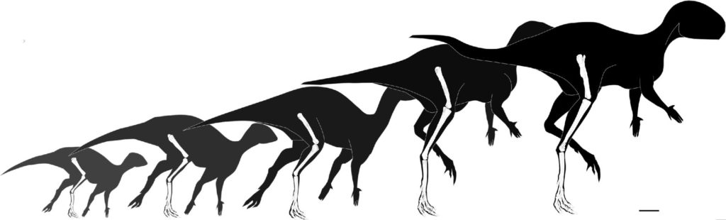 323a6f95b367bc4711ef006ae1e3d1316c565f57w