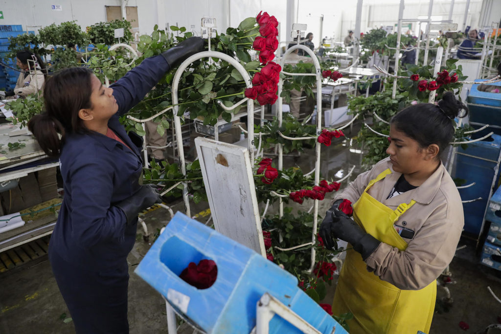 6f30249ce12aac717b8ee48c0c346cfdbf4e8887w