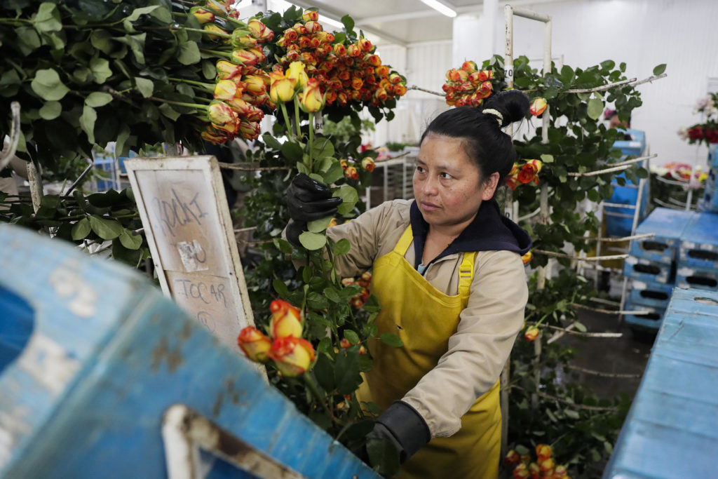 7d7552b940bfa247c2cfec8d72456ef4c7a4b386w