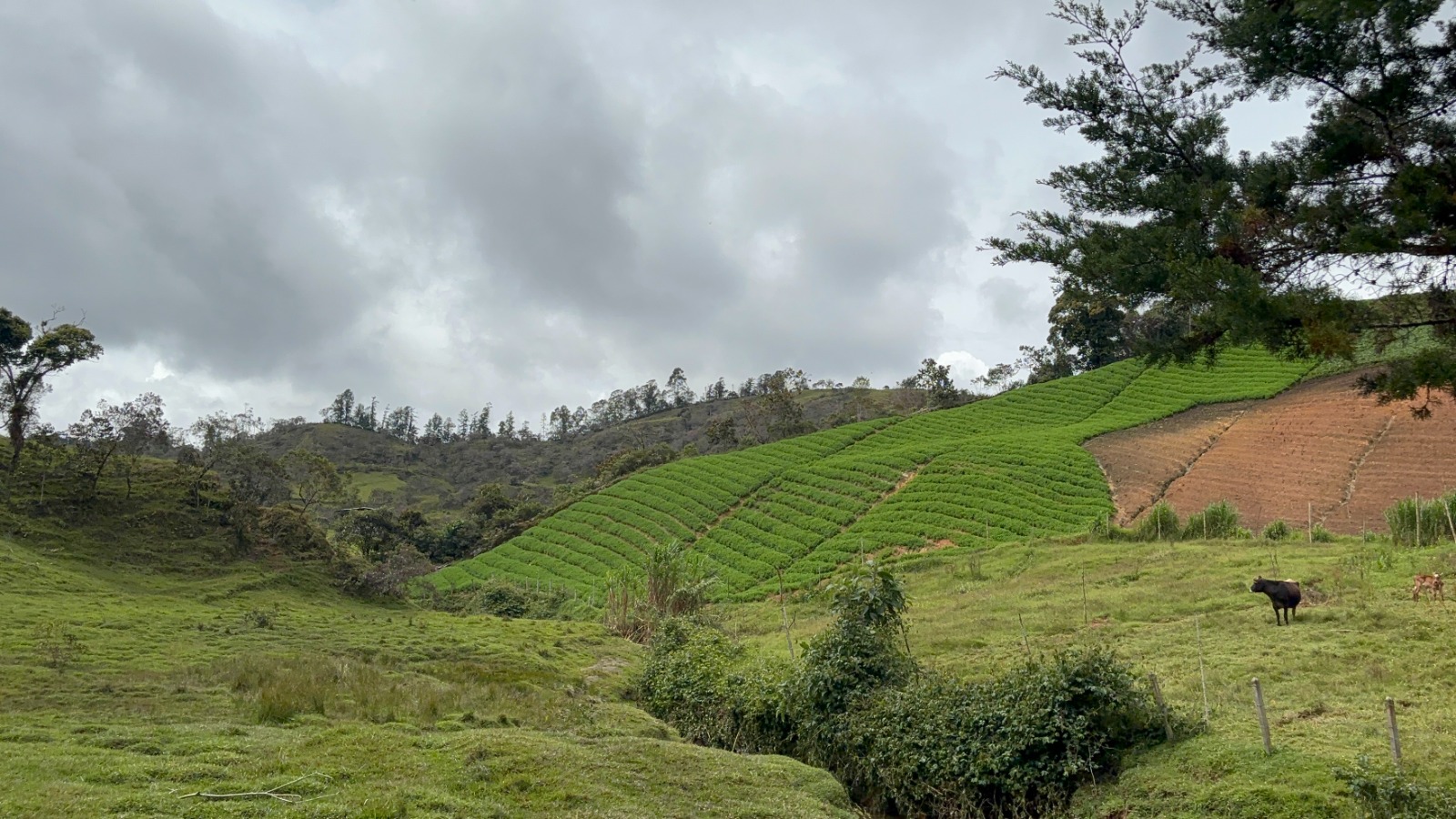 Con una inversión de $10 723 millones, la Alcaldía de El Santuario inicia obras del Acueducto del Morro
