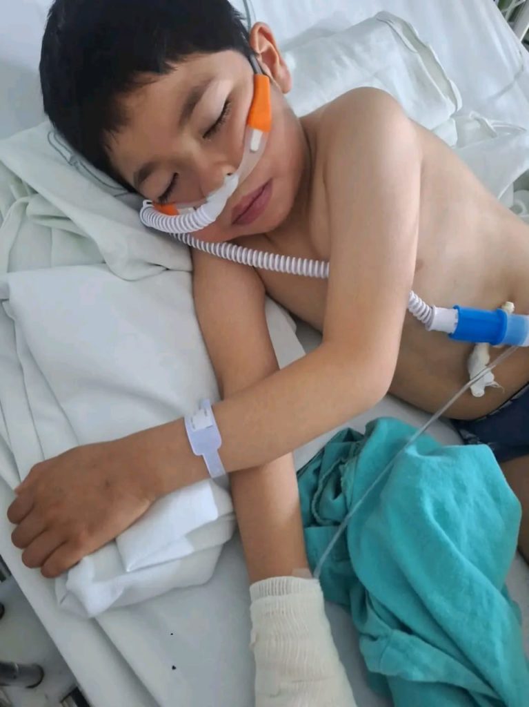 WhatsApp Image 2026 02 10 at 10.53.39 AM