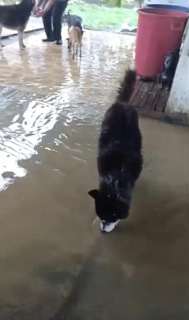 WhatsApp Image 2026 02 10 at 5.18.59 PM