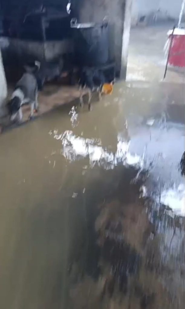 WhatsApp Image 2026 02 10 at 5.19.00 PM