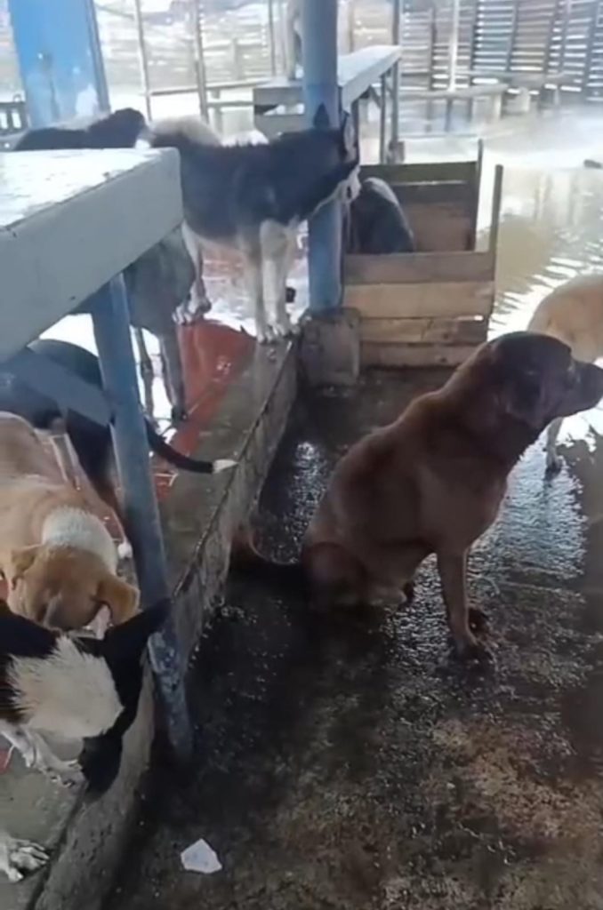 WhatsApp Image 2026 02 10 at 5.19.01 PM