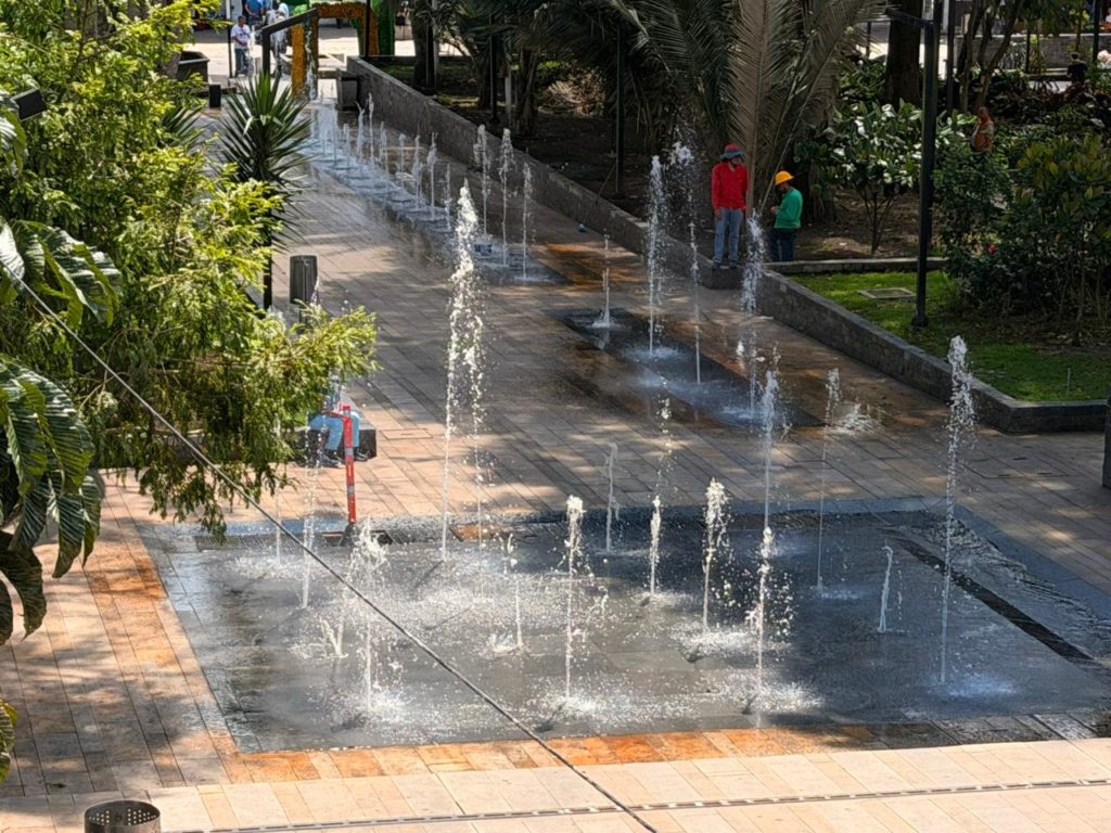 WhatsApp Image 2026 02 12 at 09.58.36