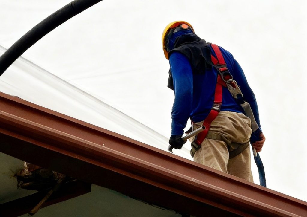 WhatsApp Image 2026 02 12 at 14.22.53