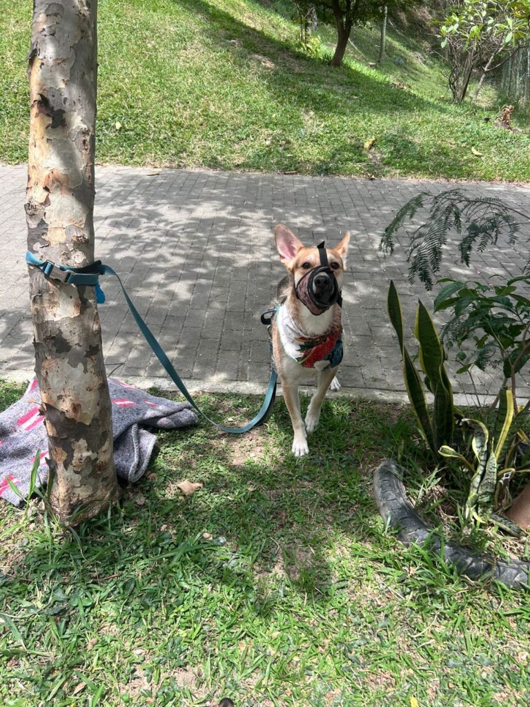 WhatsApp Image 2026 02 14 at 1.06.29 PM 1