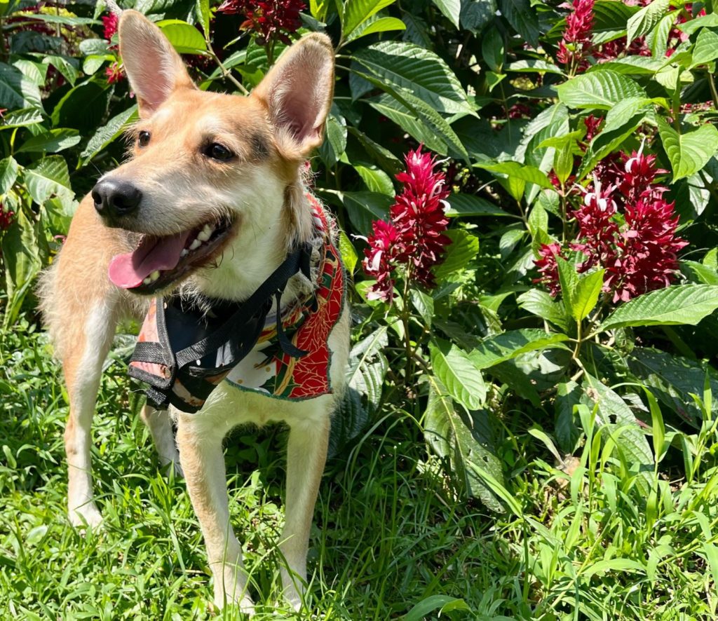 WhatsApp Image 2026 02 14 at 1.07.57 PM