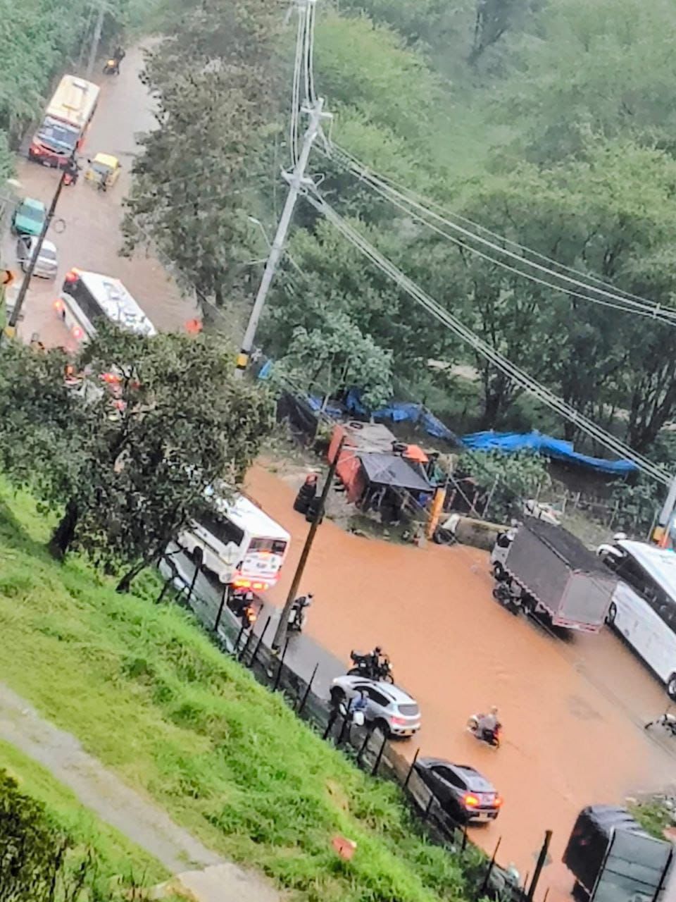 Lluvias en Medellín provocan inundaciones y caída de árboles; autoridades permanecen en alerta