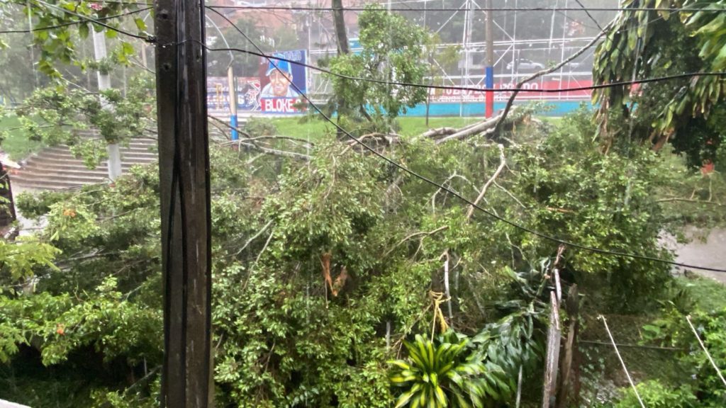 WhatsApp Image 2026 02 15 at 10.34.22 AM