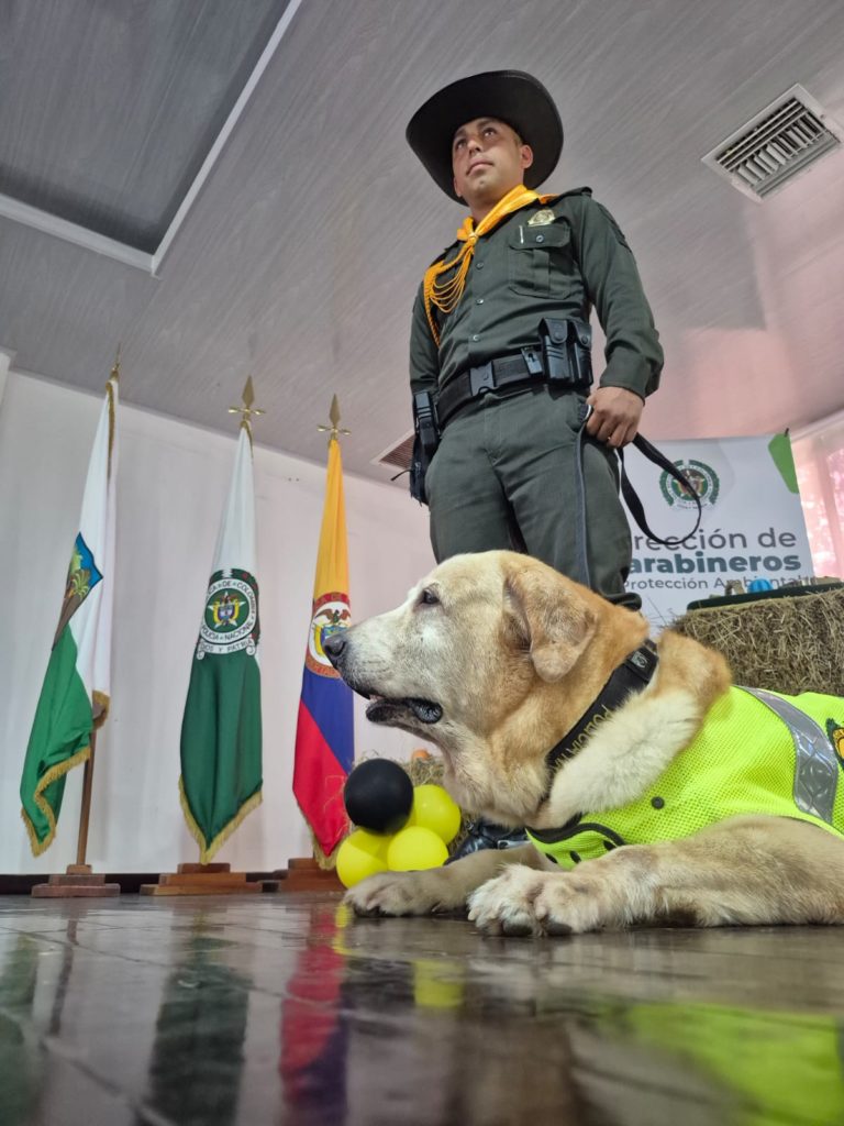 WhatsApp Image 2026 02 15 at 5.13.42 PM