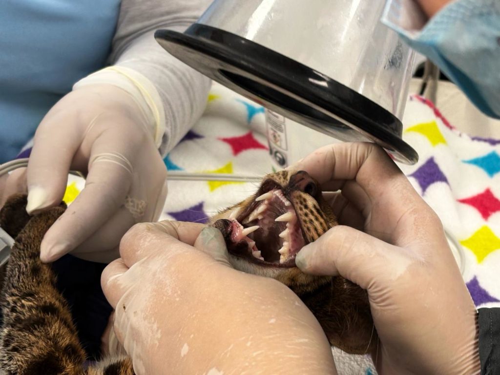 WhatsApp Image 2026 02 16 at 09.54.32