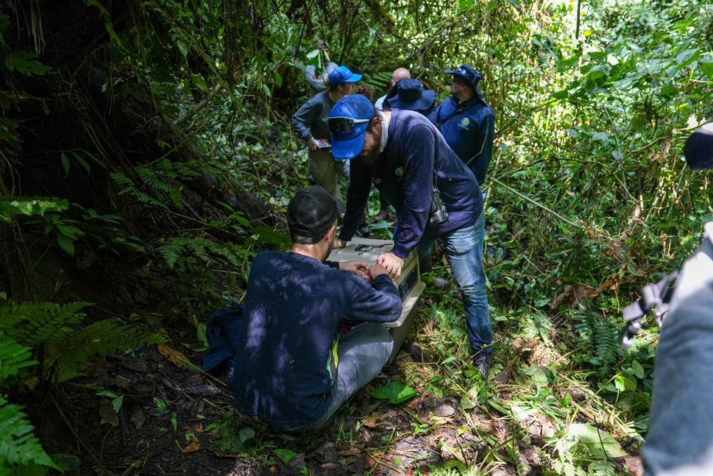 WhatsApp Image 2026 02 16 at 09.54.32 2