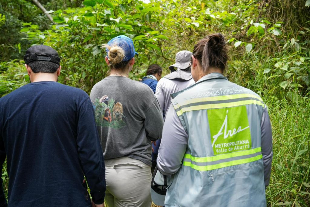 WhatsApp Image 2026 02 16 at 09.54.33