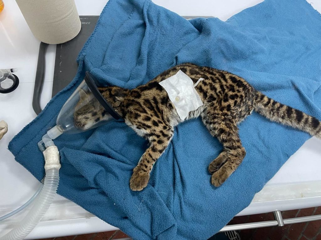 WhatsApp Image 2026 02 16 at 09.54.33 3