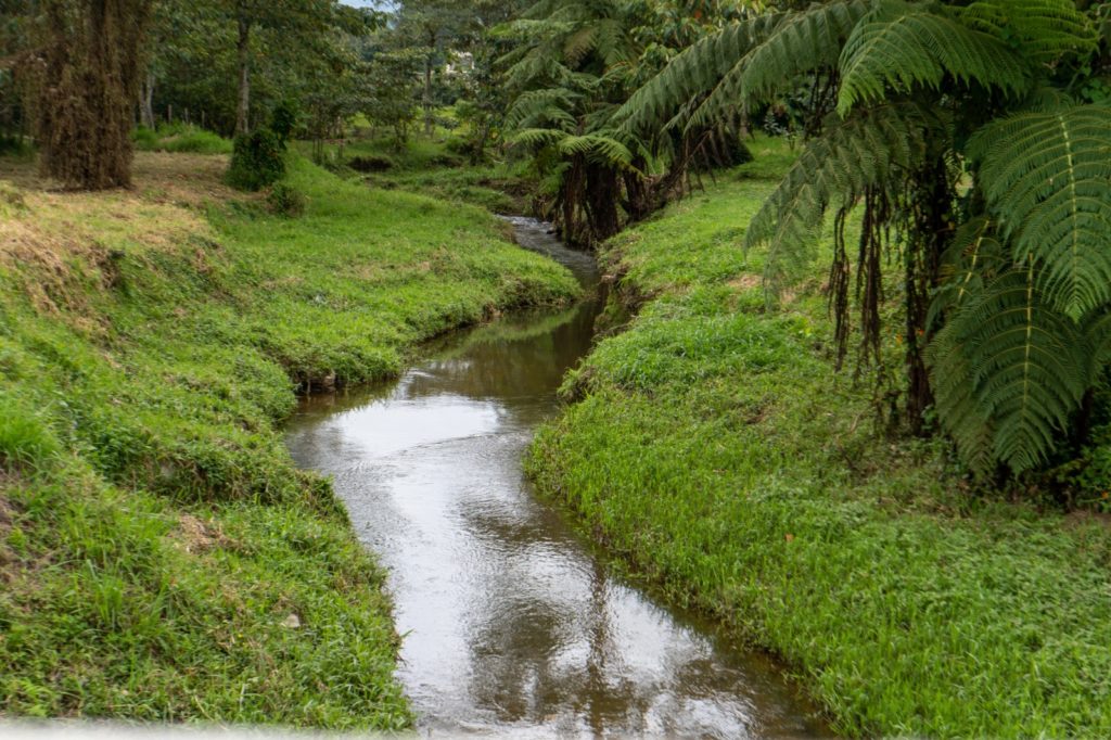 WhatsApp Image 2026 02 17 at 11.12.59 1