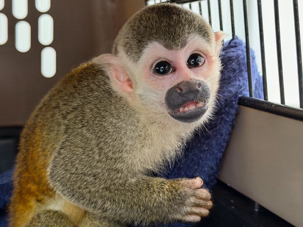 WhatsApp Image 2026 02 18 at 12.25.58 PM