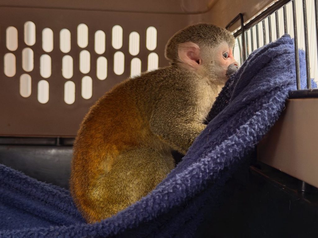 WhatsApp Image 2026 02 18 at 12.25.59 PM 1