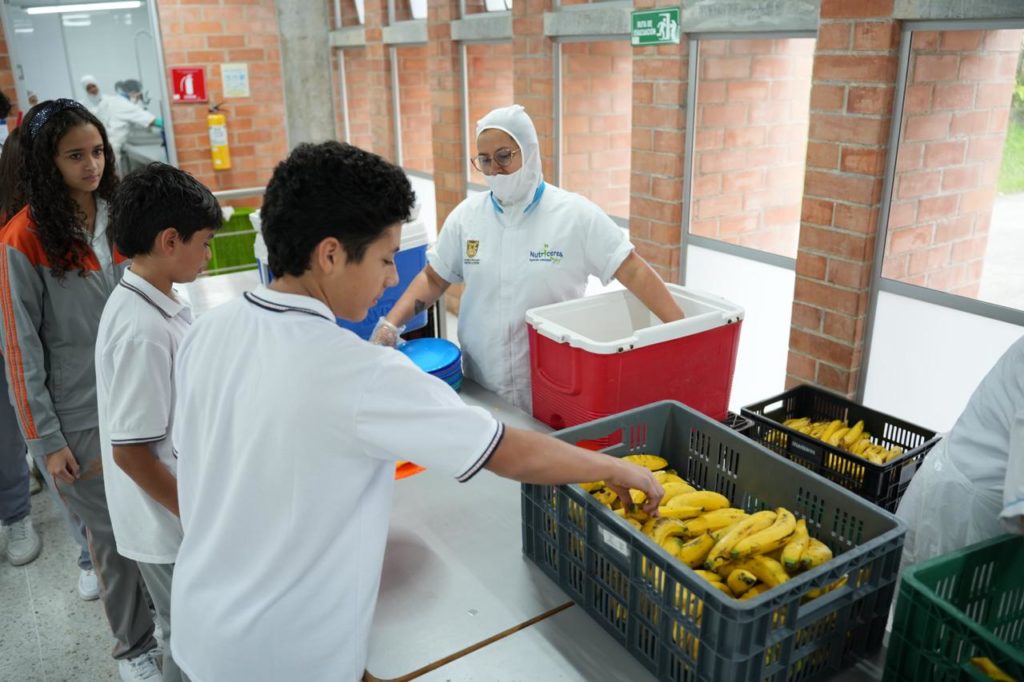 WhatsApp Image 2026 02 18 at 15.39.11