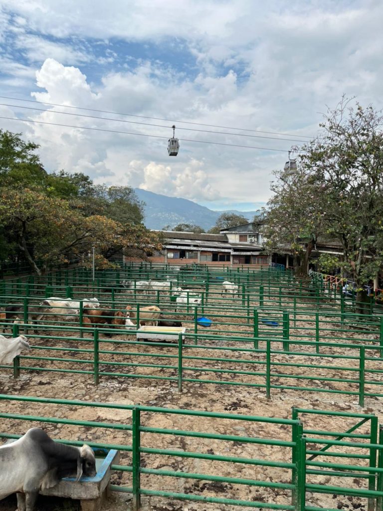 WhatsApp Image 2026 02 18 at 9.44.21 PM 1