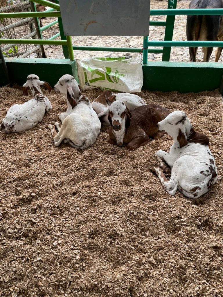 WhatsApp Image 2026 02 18 at 9.44.22 PM