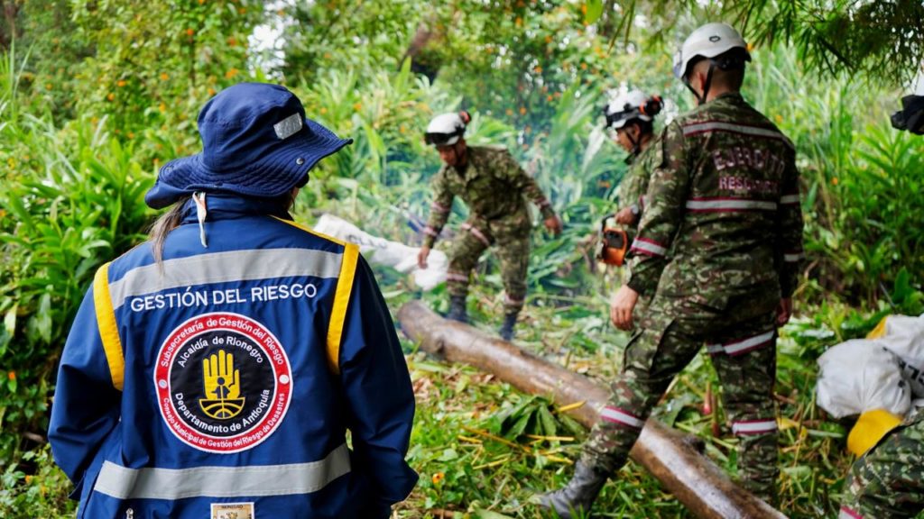 WhatsApp Image 2026 02 19 at 12.57.53