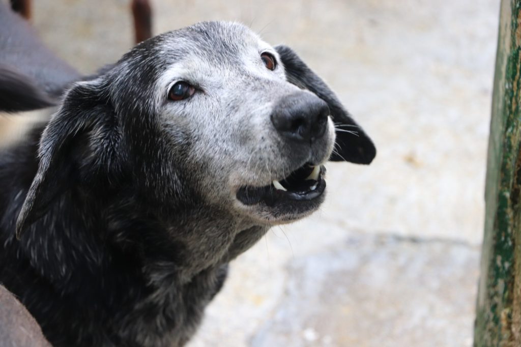 WhatsApp Image 2026 02 19 at 3.15.31 PM 1