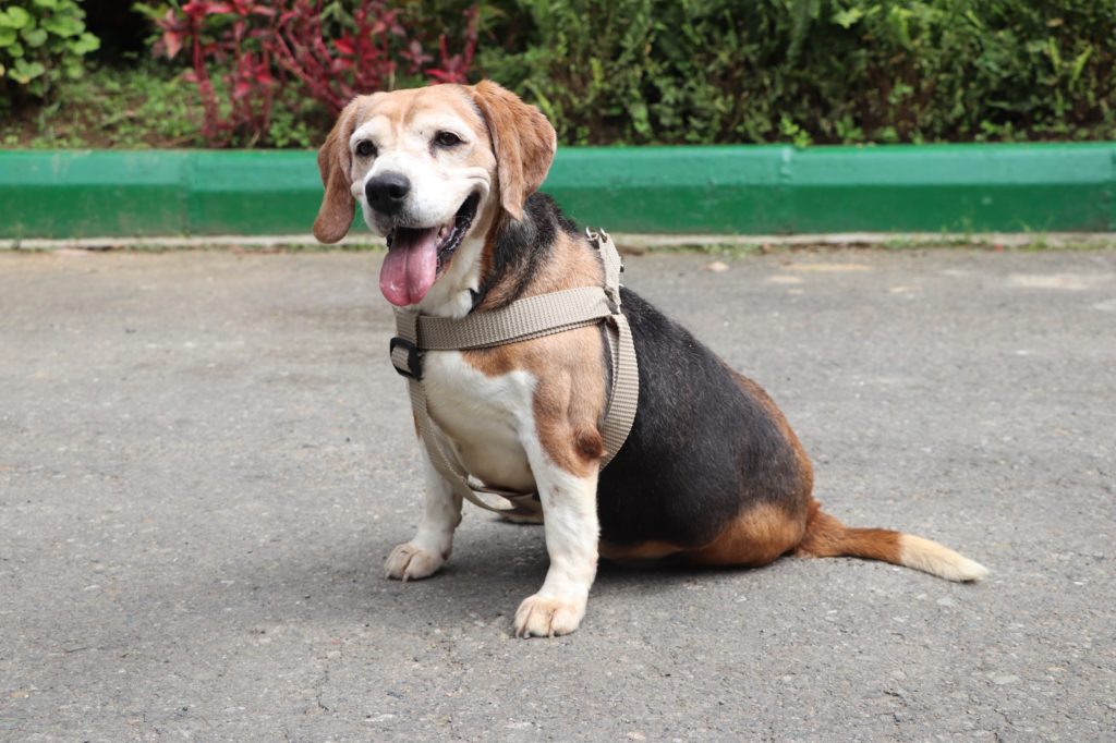 WhatsApp Image 2026 02 19 at 3.15.31 PM