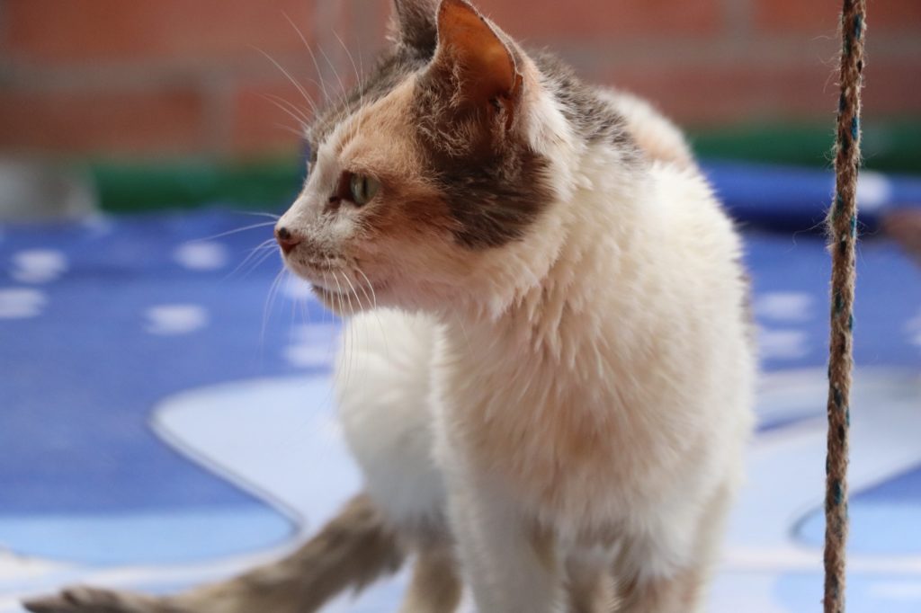 WhatsApp Image 2026 02 19 at 3.15.31 PM 3