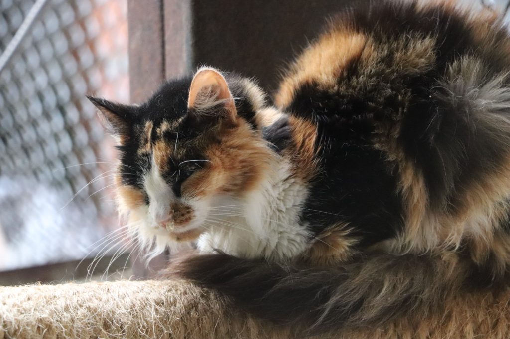 WhatsApp Image 2026 02 19 at 3.15.32 PM