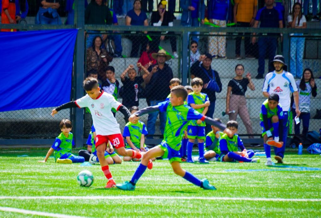 WhatsApp Image 2026 02 20 at 14.10.30