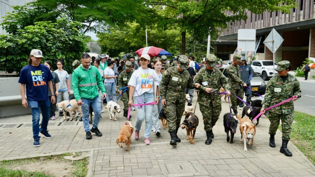 WhatsApp Image 2026 02 23 at 11.20.35 AM