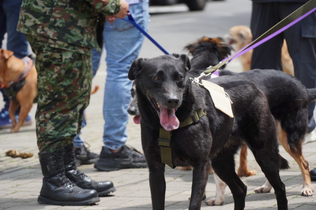 WhatsApp Image 2026 02 23 at 11.20.37 AM