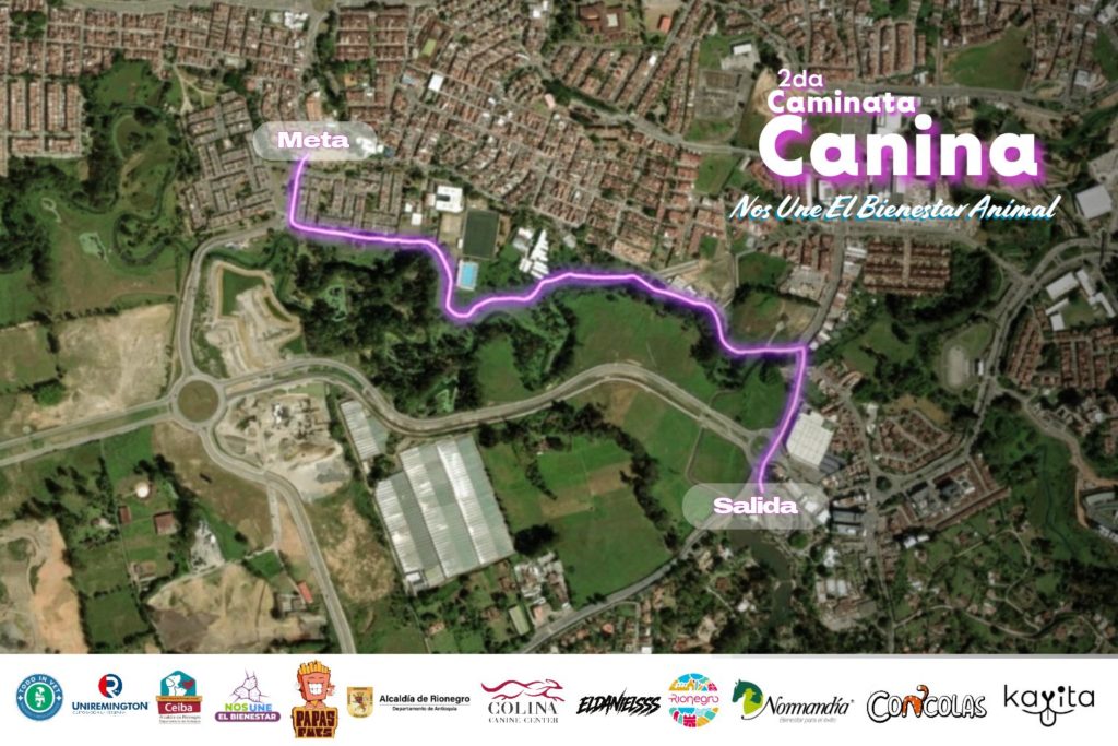 WhatsApp Image 2026 02 24 at 10.34.46 1 1