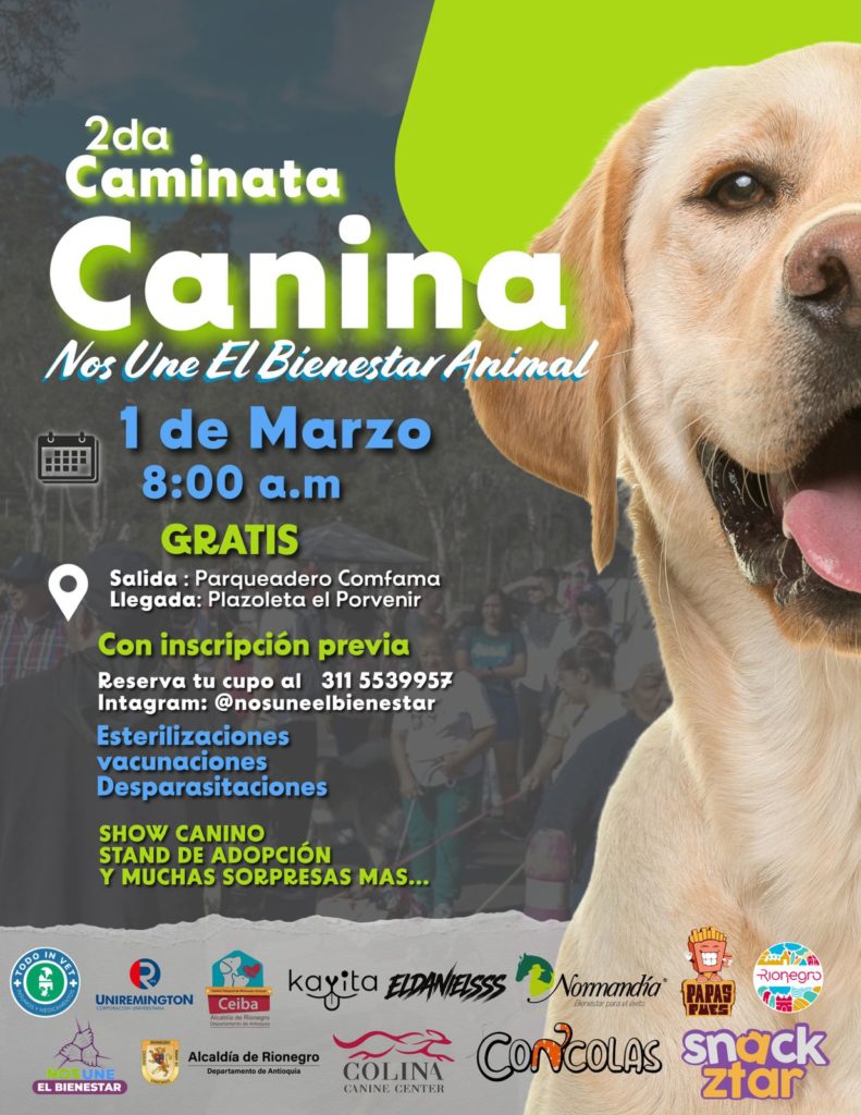 WhatsApp Image 2026 02 24 at 10.34.46 1