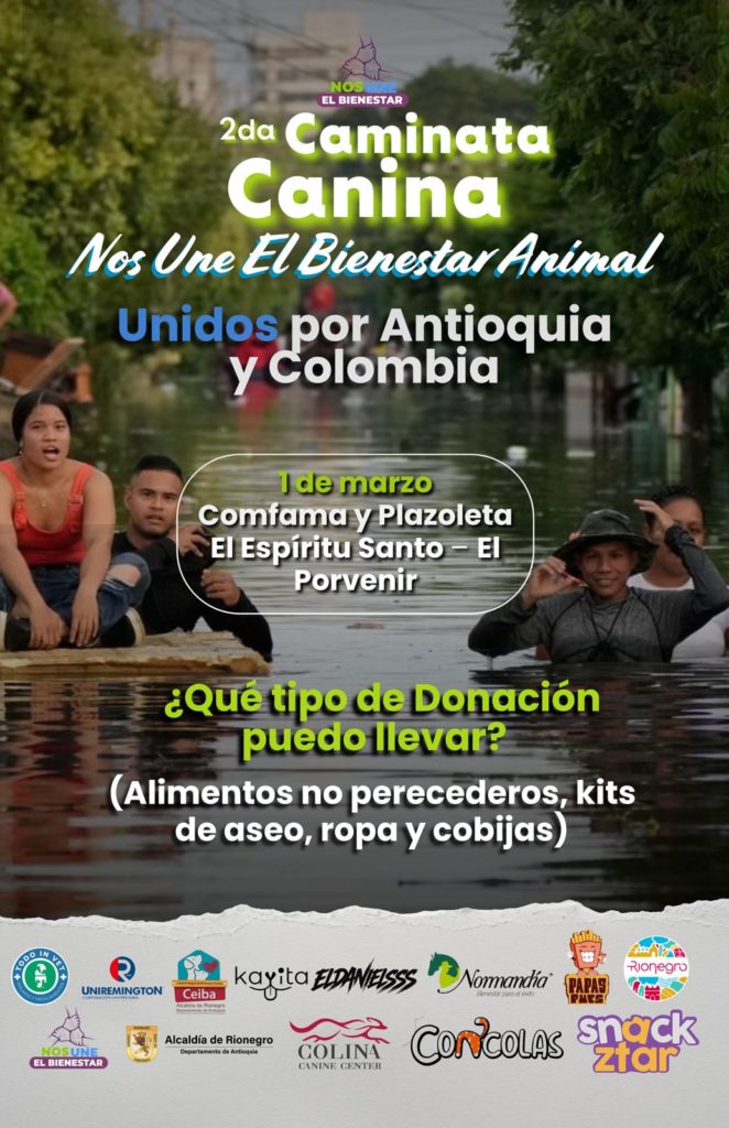 WhatsApp Image 2026 02 24 at 10.36.13 1