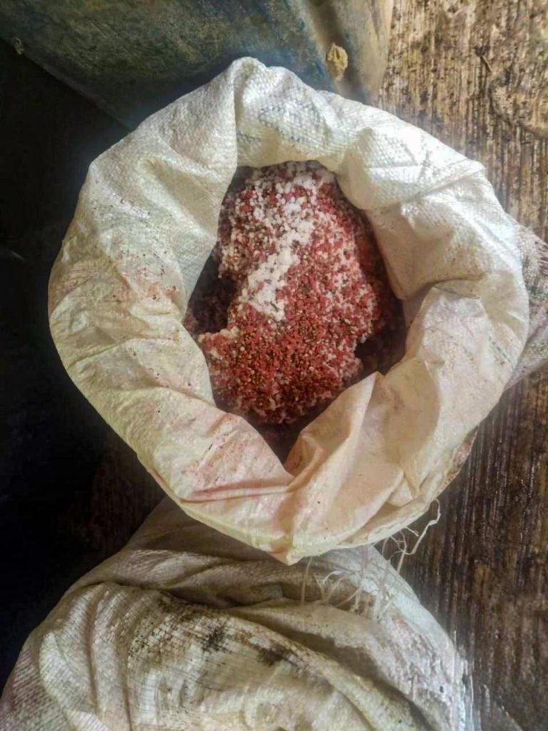 WhatsApp Image 2026 02 24 at 9.42.36 AM 1