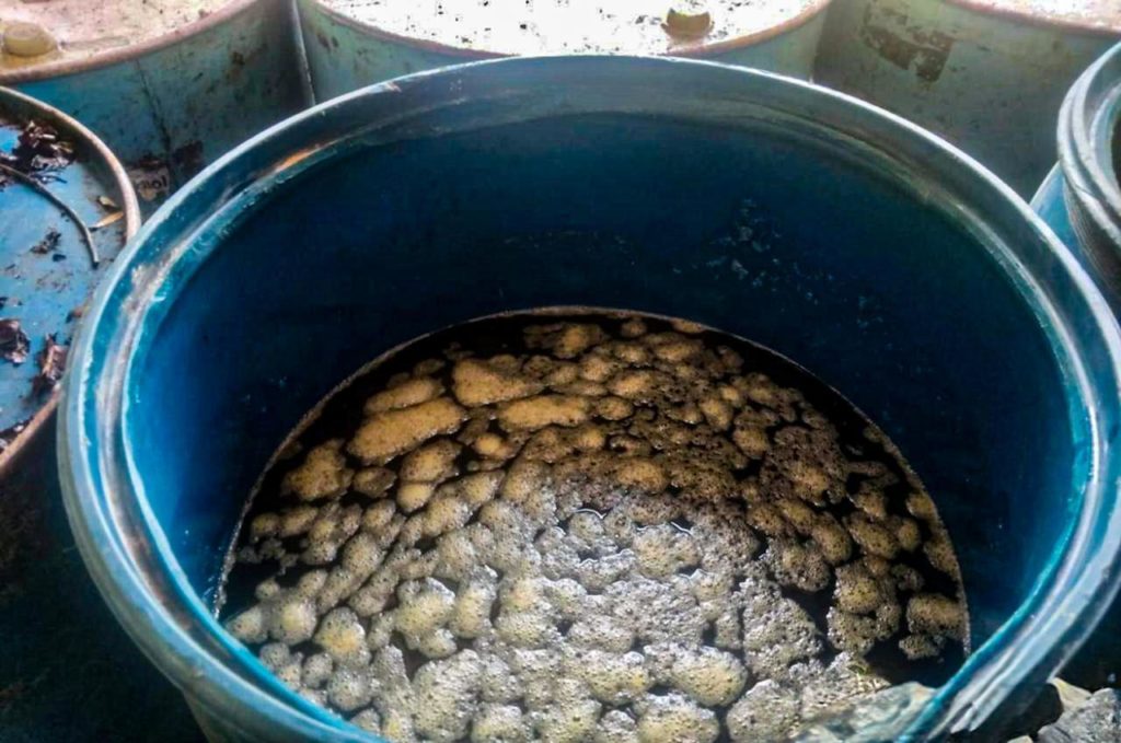 WhatsApp Image 2026 02 24 at 9.42.36 AM 2