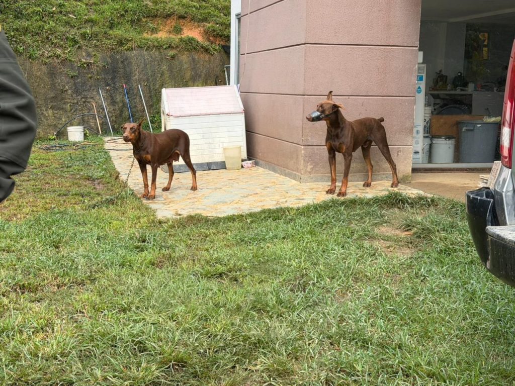 WhatsApp Image 2026 02 25 at 12.23.21 PM