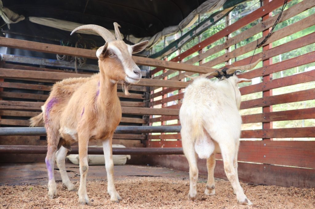 WhatsApp Image 2026 02 25 at 12.23.22 PM