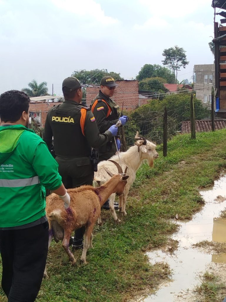 WhatsApp Image 2026 02 25 at 12.23.23 PM