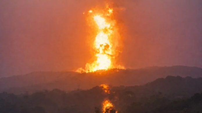 WhatsApp Image 2026-02-26 at 5.05.22 PM